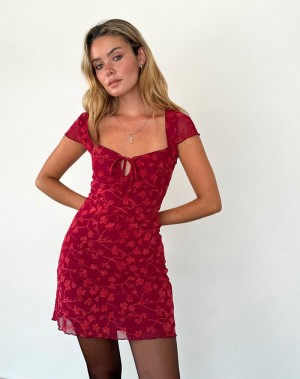 Women's Motel Rocks Lashka Mini Dress Red | NMX2180BI